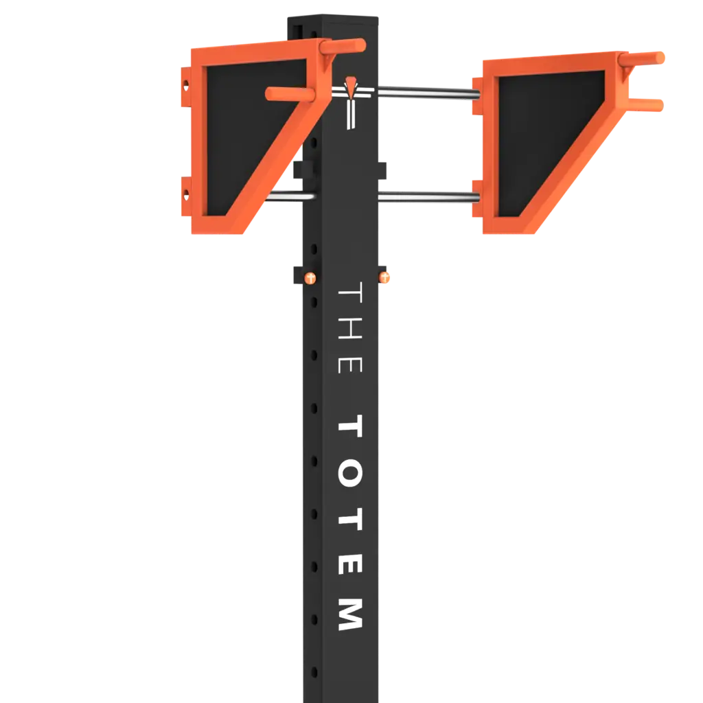 the totem black